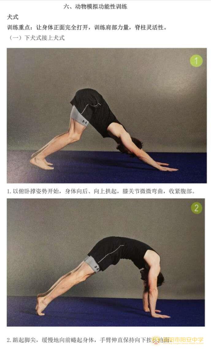 33.jpg