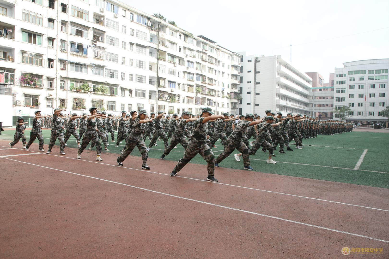 GV0A7433.jpg